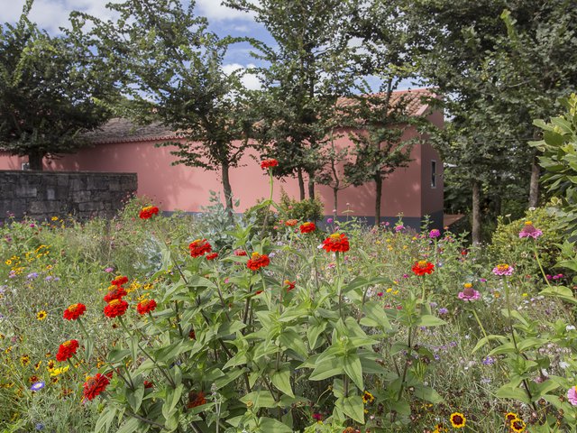 House accommodations/lodging at Quinta dos Peixes Falantes: flowers in bloom in the exterior private garden