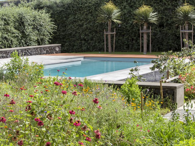 Quinta dos Peixes Falantes: exterior view from the gardens (with blooming flowers) to the pool
